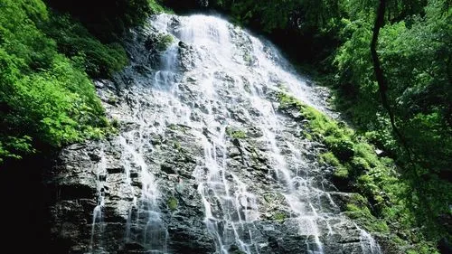 智能智能先进